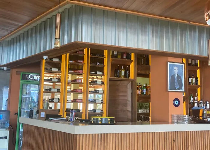 酒店 帕斯菲克酒店 Çeşme