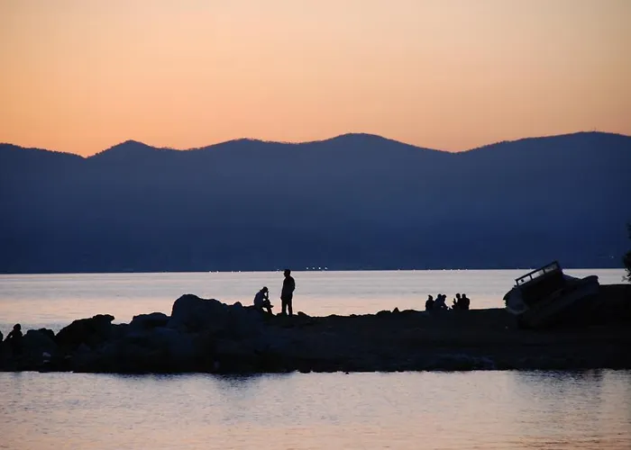酒店 帕斯菲克酒店